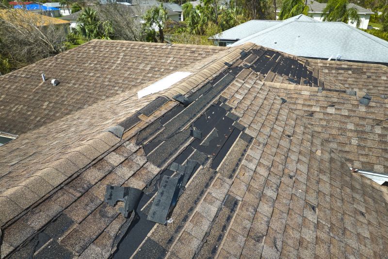 Cracked Shingle Repair